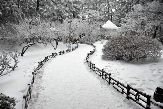 庐山冬天好玩吗下雪天可以上庐山看雪吗